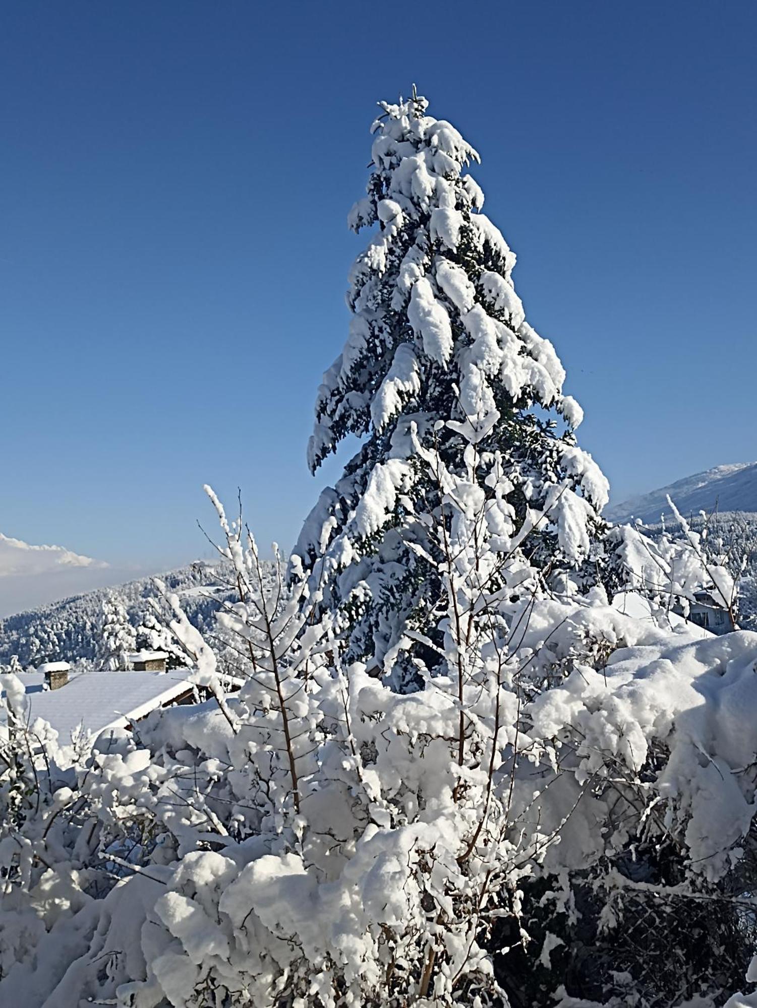 Gaestehaus Alpenblick Mutters Екстер'єр фото