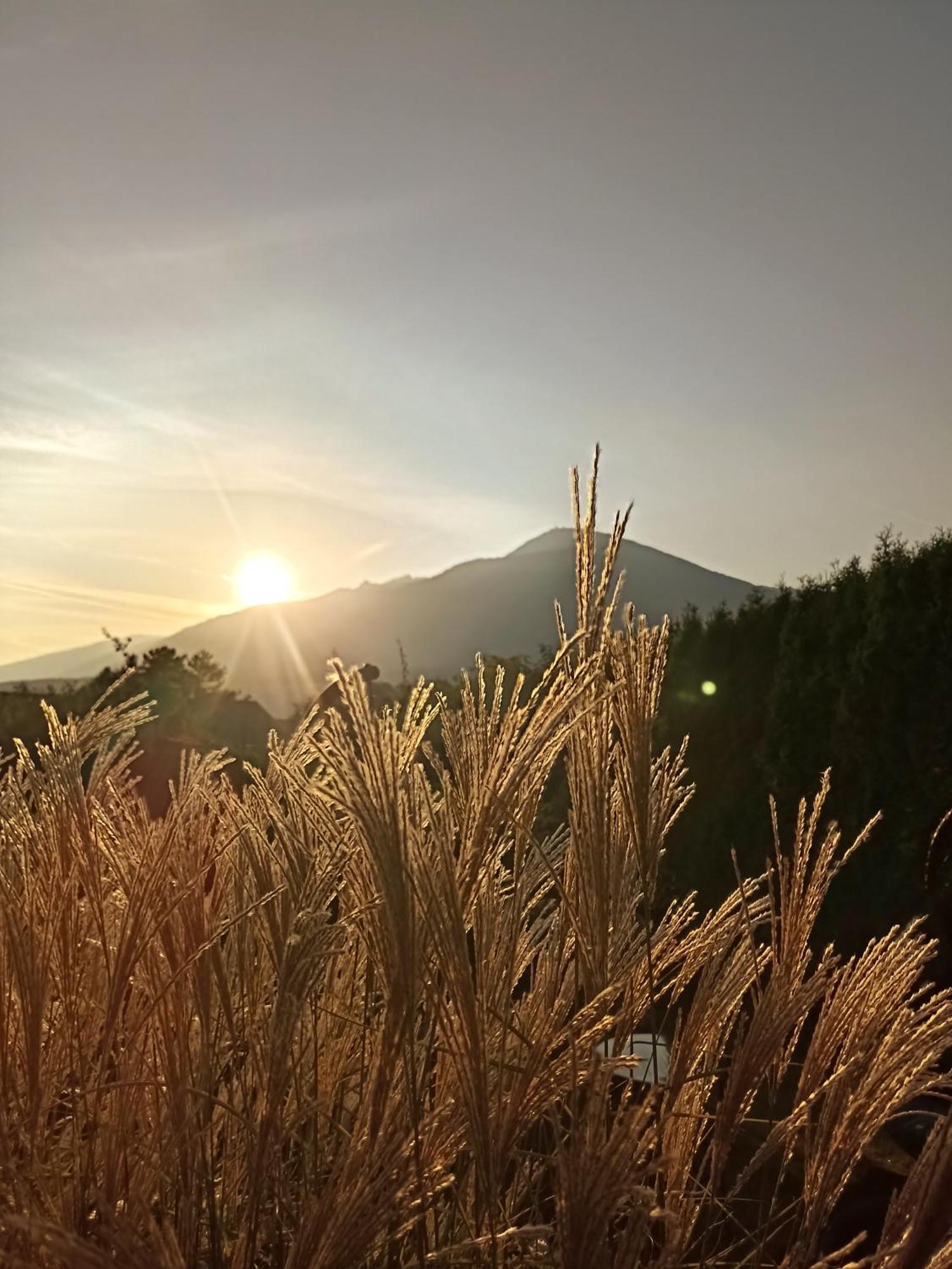 Gaestehaus Alpenblick Mutters Екстер'єр фото